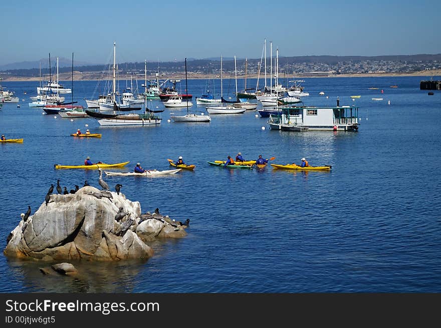 A kayaking class in the harbor. A kayaking class in the harbor.