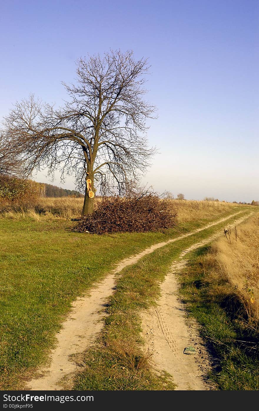 Autumn, road through the fields