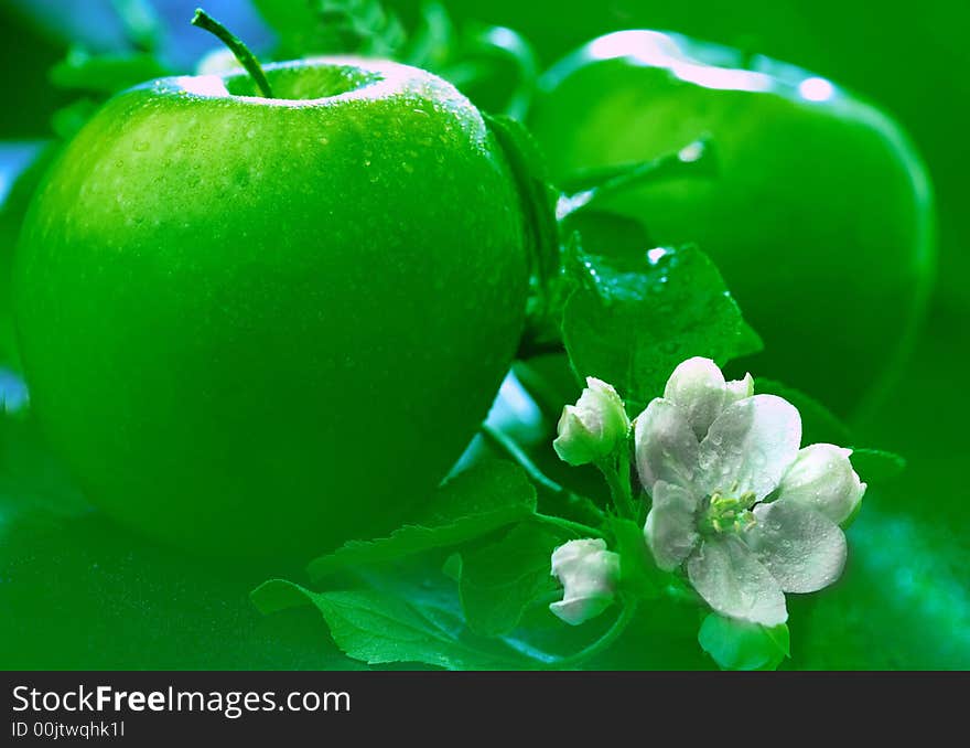 Green apples with a white flower