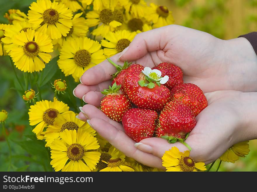 Strawberries and yellow flower