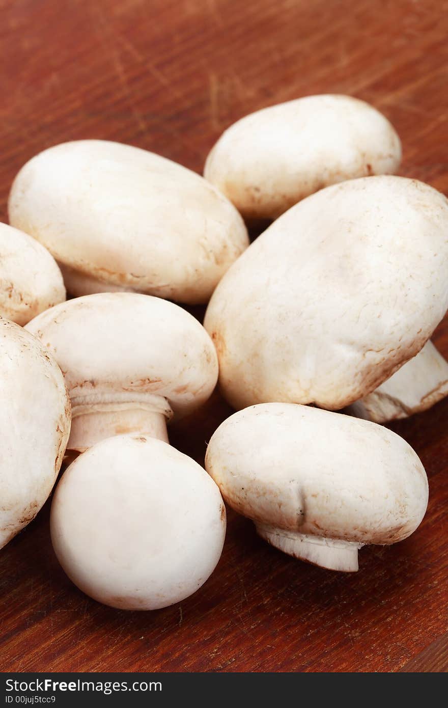 Close up of button mushrooms isolated