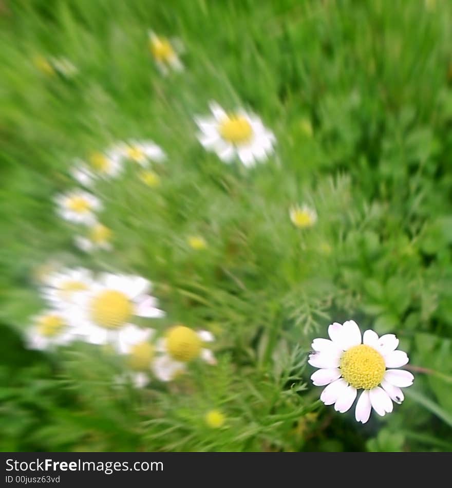 Flowers move background