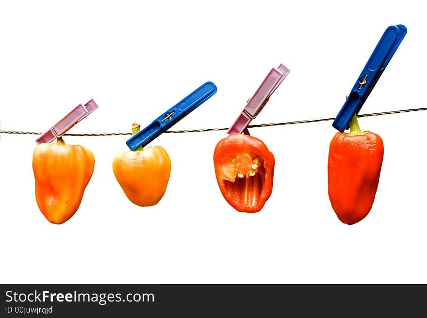 Peppers on wire over white background.