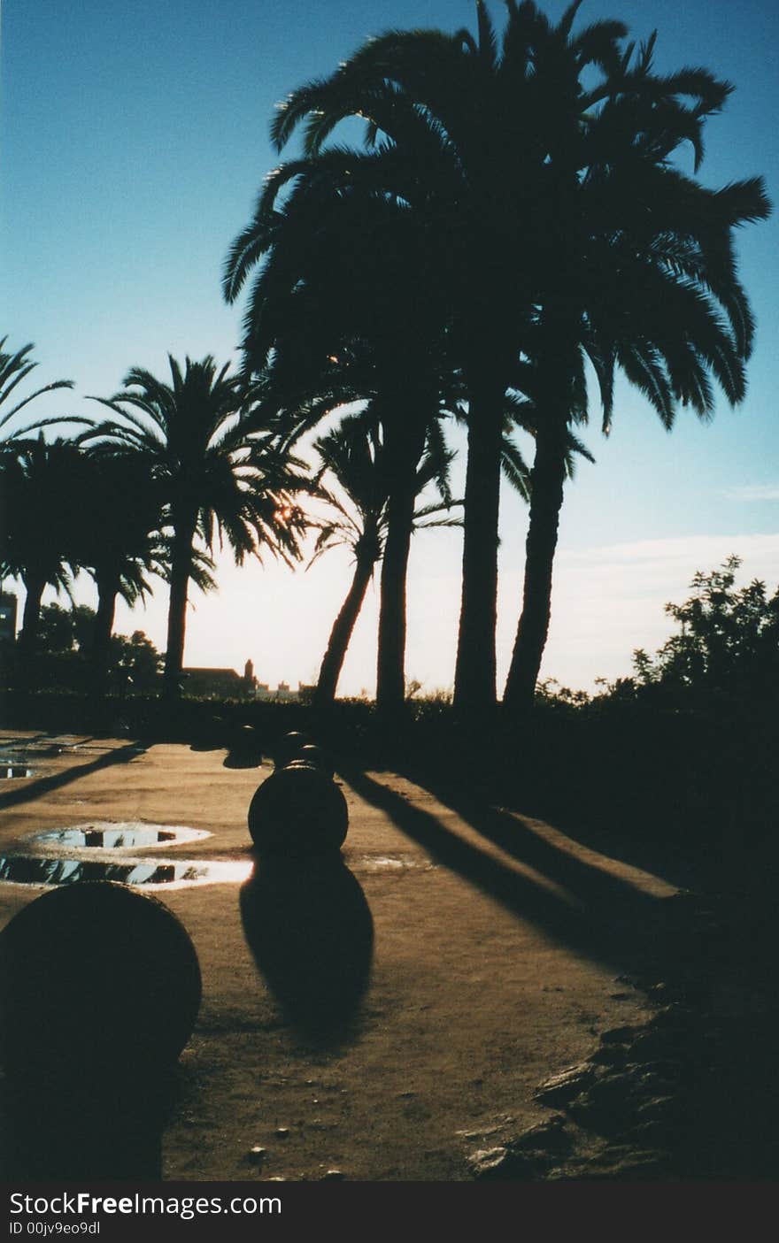 Palm tree and sphere ball silhouettes in Barcelona. Palm tree and sphere ball silhouettes in Barcelona.