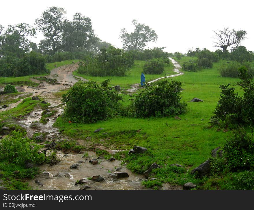 A beautiful green scenery on the mountain top. A beautiful green scenery on the mountain top.