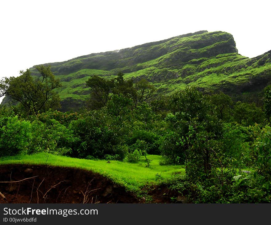 Chilling Monsoon Landscape