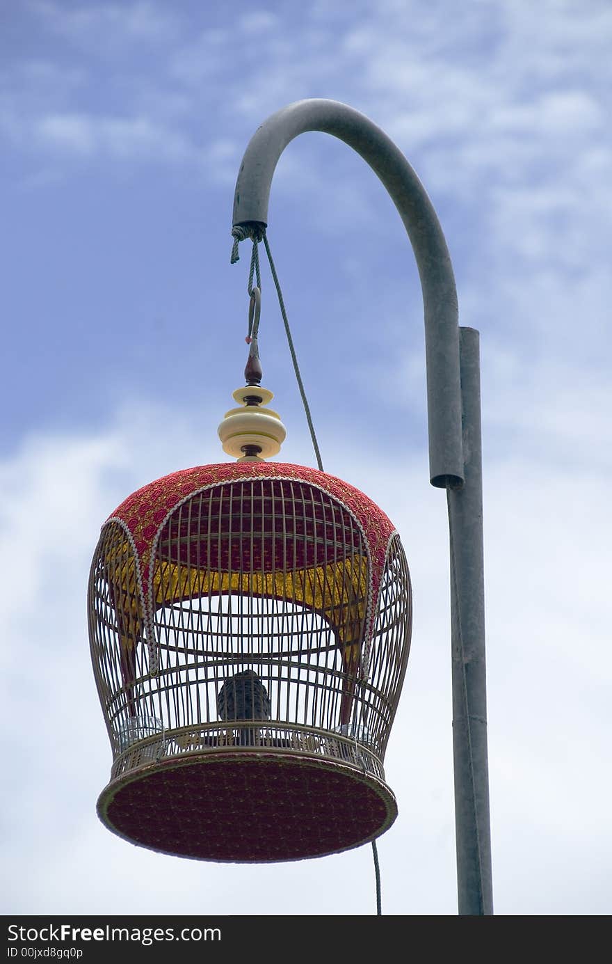 a sad life for for a song bird, captured for its sweet voice. A hobby for men in Asia, who hang this bird on weekend to compete with other cage birds. a sad life for for a song bird, captured for its sweet voice. A hobby for men in Asia, who hang this bird on weekend to compete with other cage birds.