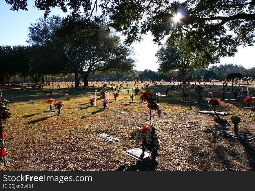 Cemetery with seasonal flowers on the headstones