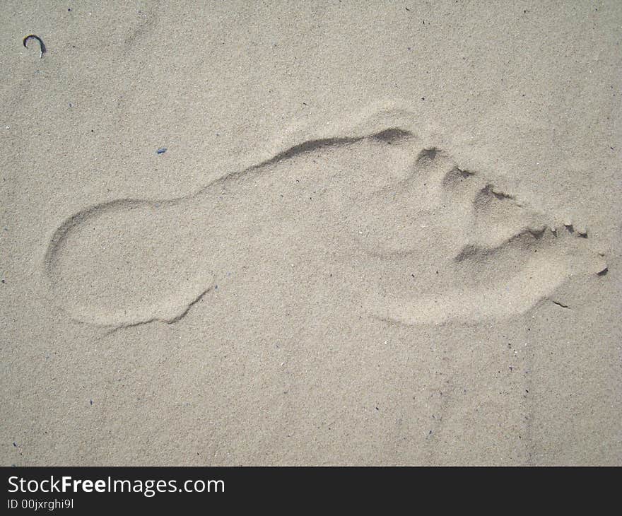 Women's footprint in the sand. Women's footprint in the sand