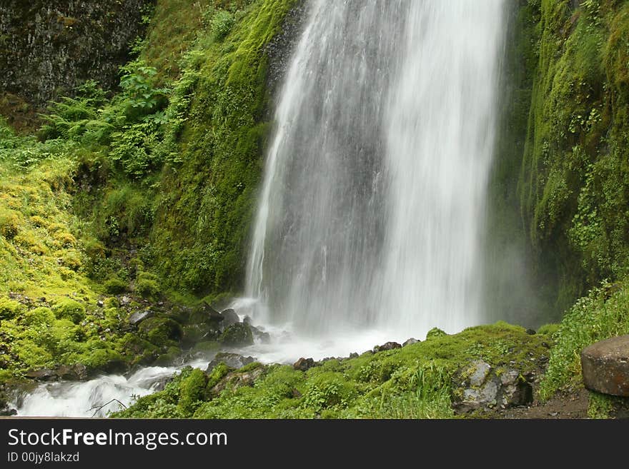 Waterfall and Greenery