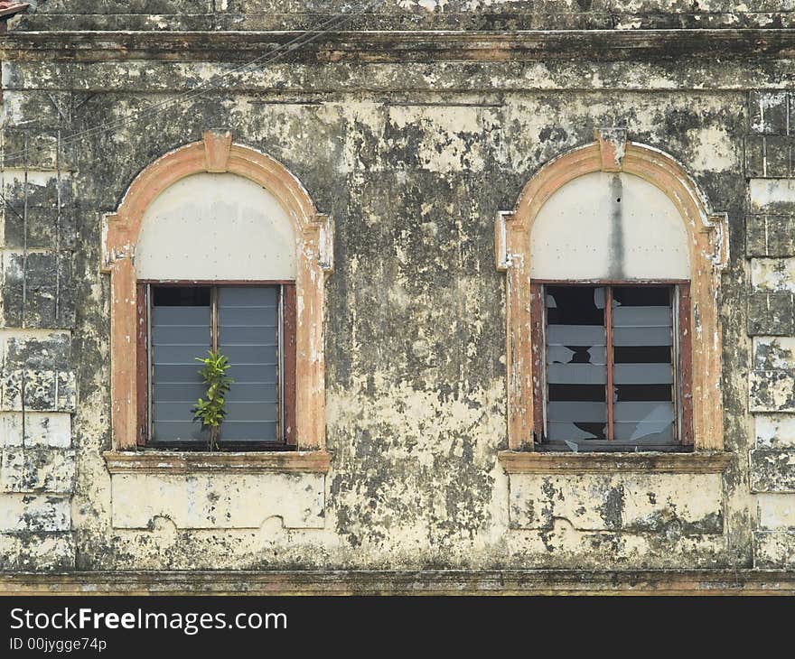 Two windows on a badly maintained, worn, old building. One window is broken, and a plant is growing out of the other. Two windows on a badly maintained, worn, old building. One window is broken, and a plant is growing out of the other.