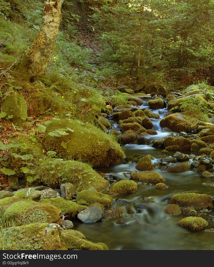 Ansabere Mountain Stream