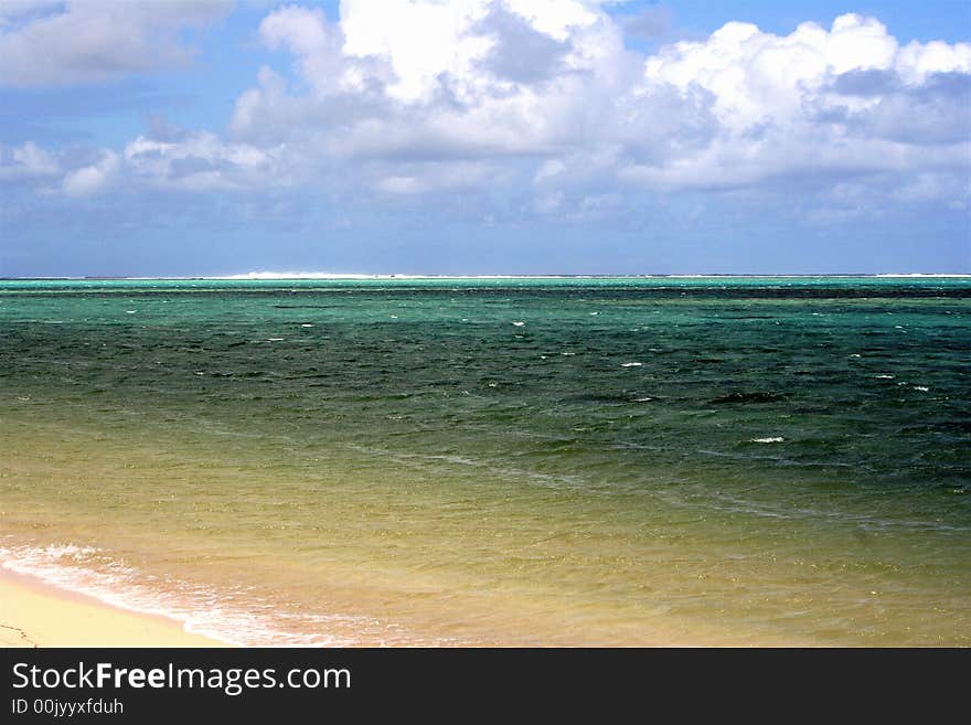 The tropical beach in the sunny day