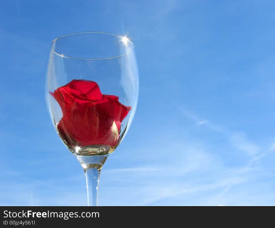 Wineglass with rose flower on sky background