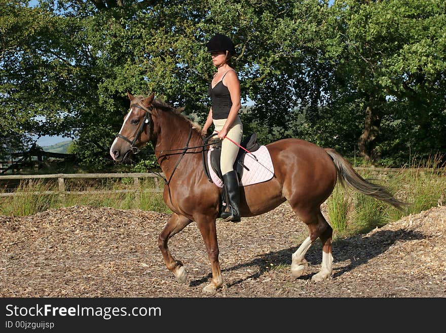 Young woman in riding gear sitting upright on a welsh section d horse with trees and blue sky to the rear. Young woman in riding gear sitting upright on a welsh section d horse with trees and blue sky to the rear.