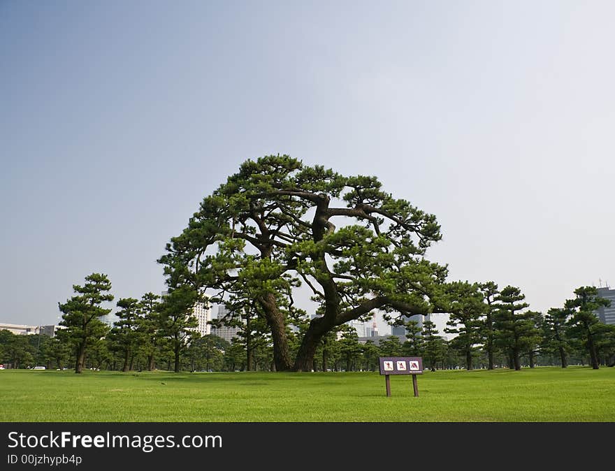 Around Imperial Palace, Tokyo, Japan. June, 2007. Around Imperial Palace, Tokyo, Japan. June, 2007.