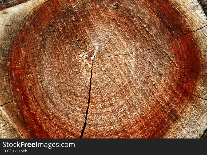 Close-up view of tree rings, suitable as background