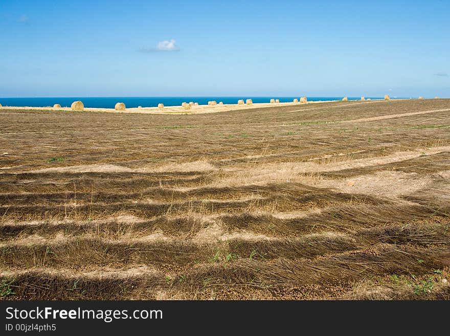 Harvest