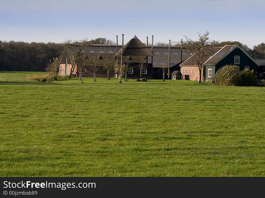 Farmhouse in the Netherlands with field