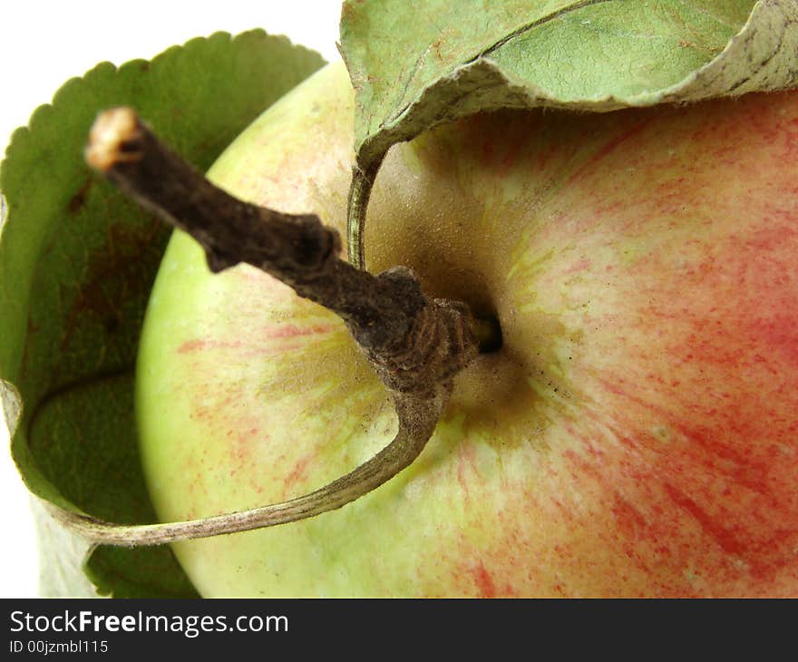 Colorful apple fragment with leaves and stem