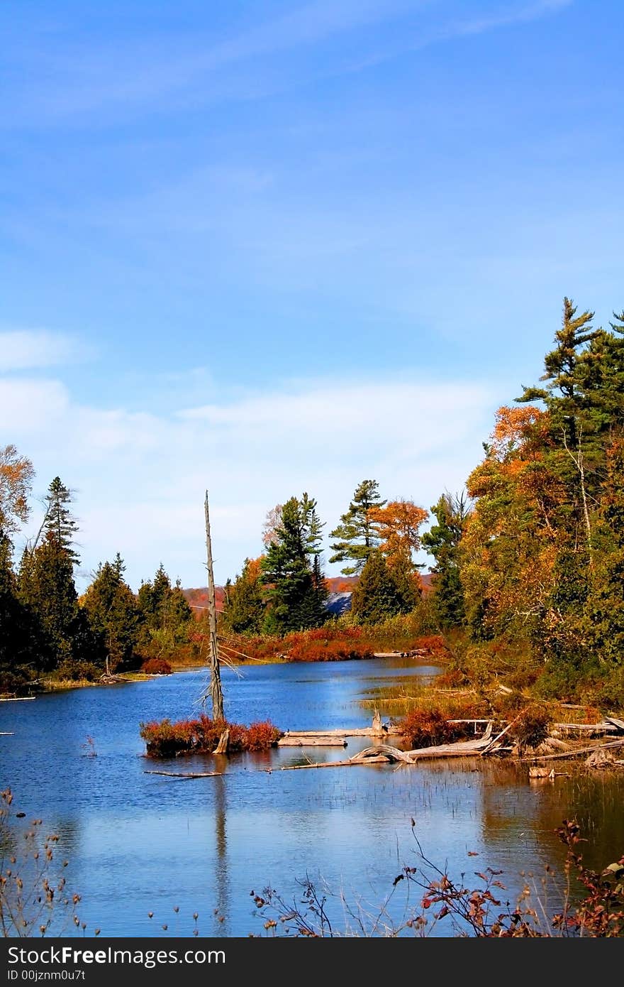 Reflections of colorful trees in a small lake. Reflections of colorful trees in a small lake