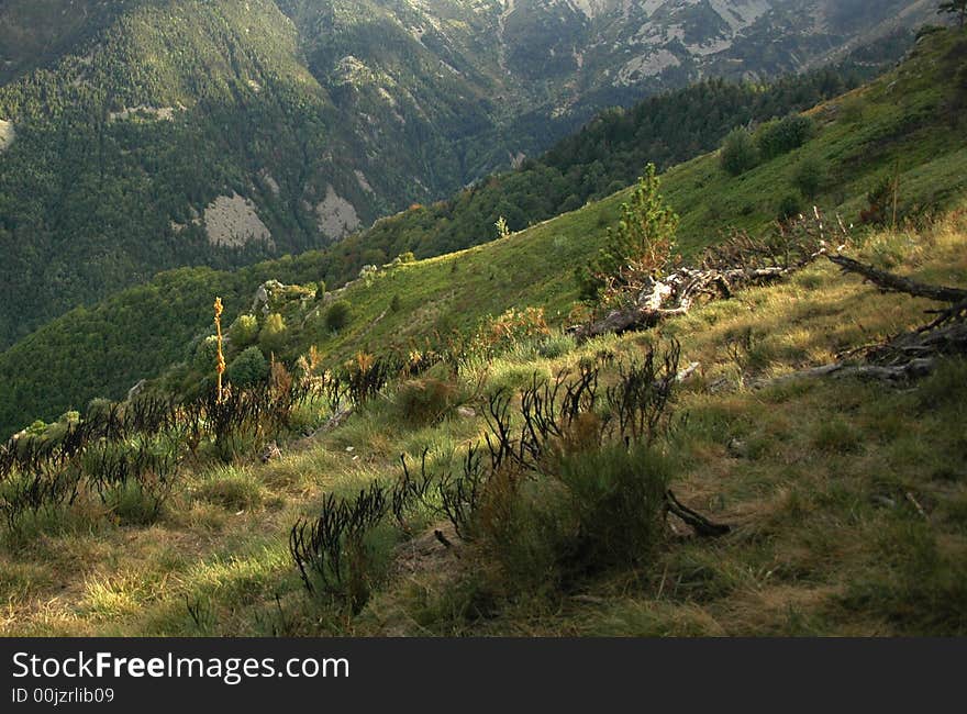 View of the country in the Pyrenees. View of the country in the Pyrenees