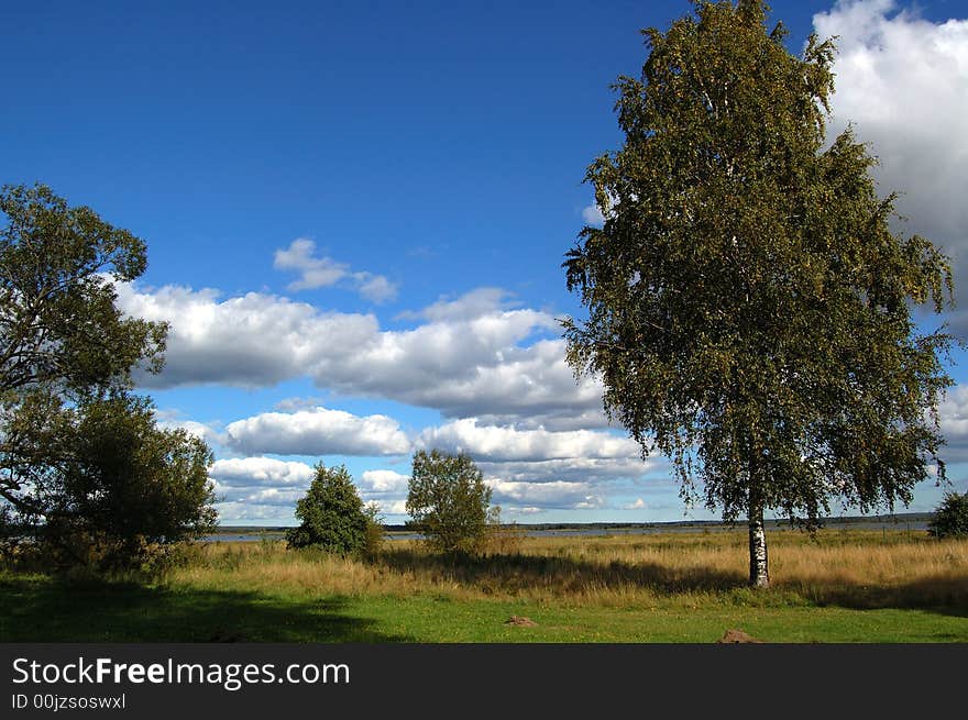 The landscape near the lake in Karelia at autumn day. The landscape near the lake in Karelia at autumn day