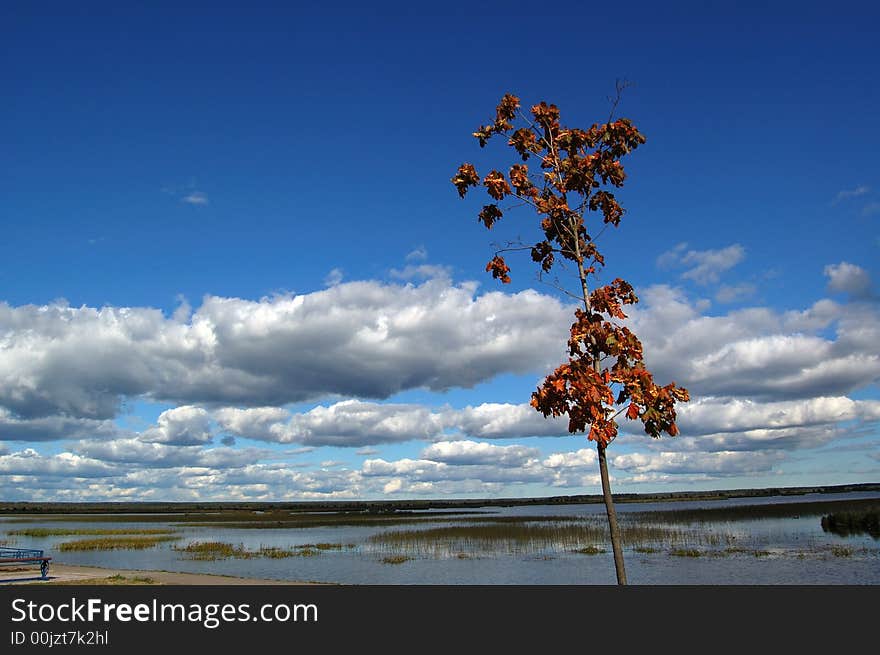 The  lake in Karelia at autumn day. Sky and clouds are reflected by still water. The  lake in Karelia at autumn day. Sky and clouds are reflected by still water