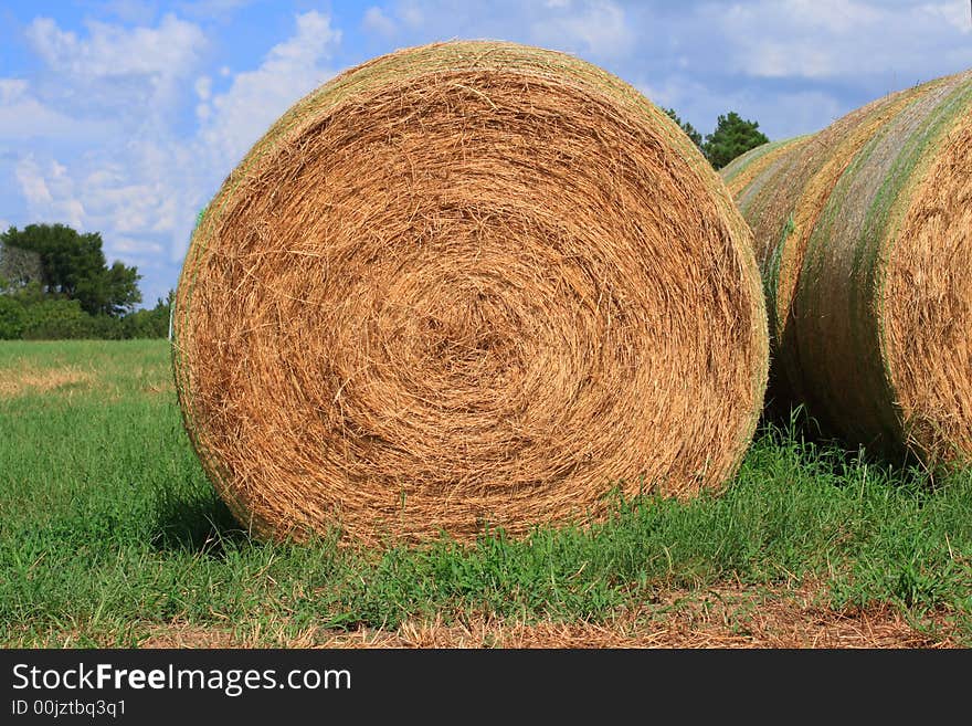 Giant rolls of hay stacked up in the field.