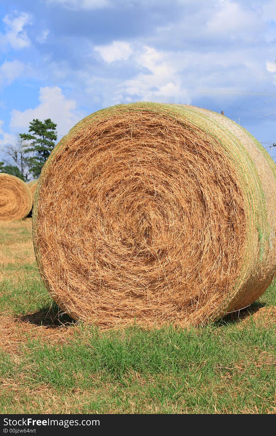 Round Bale of Hay