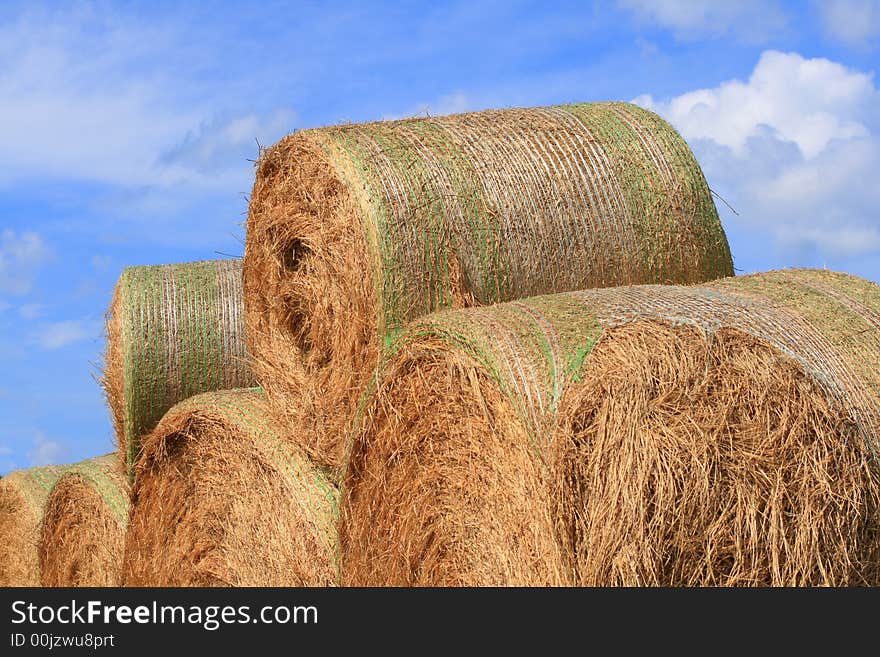 Giant rolls of hay stacked up in the field.