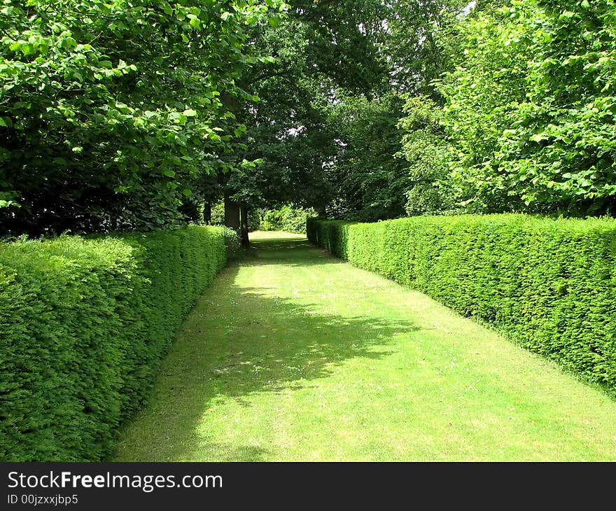 A pleasant grassy walkway hedged on both sides. A pleasant grassy walkway hedged on both sides