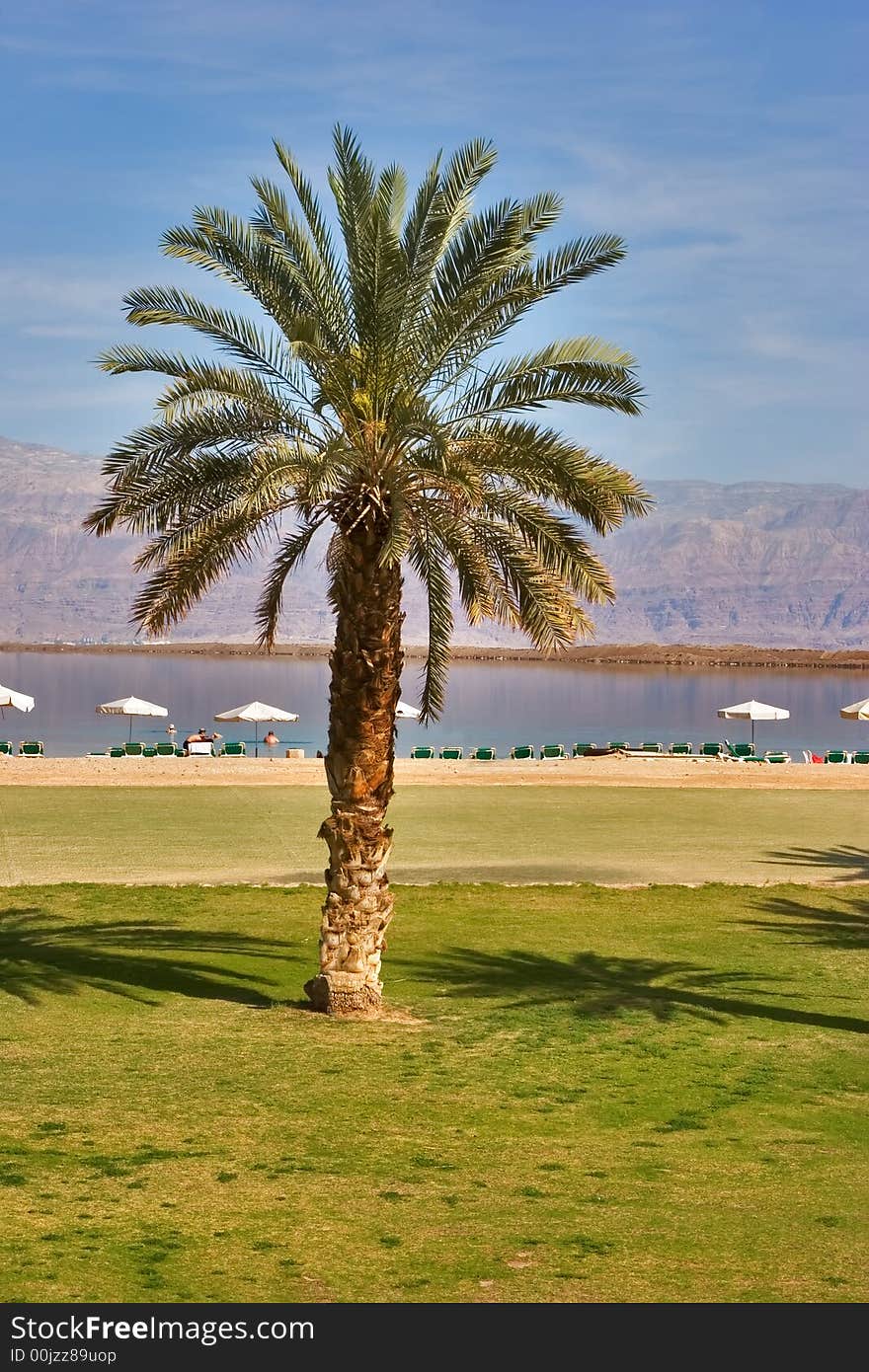 A medical beach on the Dead Sea in Israel. A medical beach on the Dead Sea in Israel