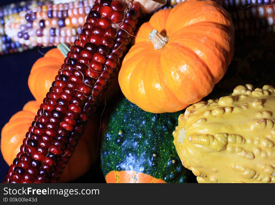 Vivid harvest colors against a black background.