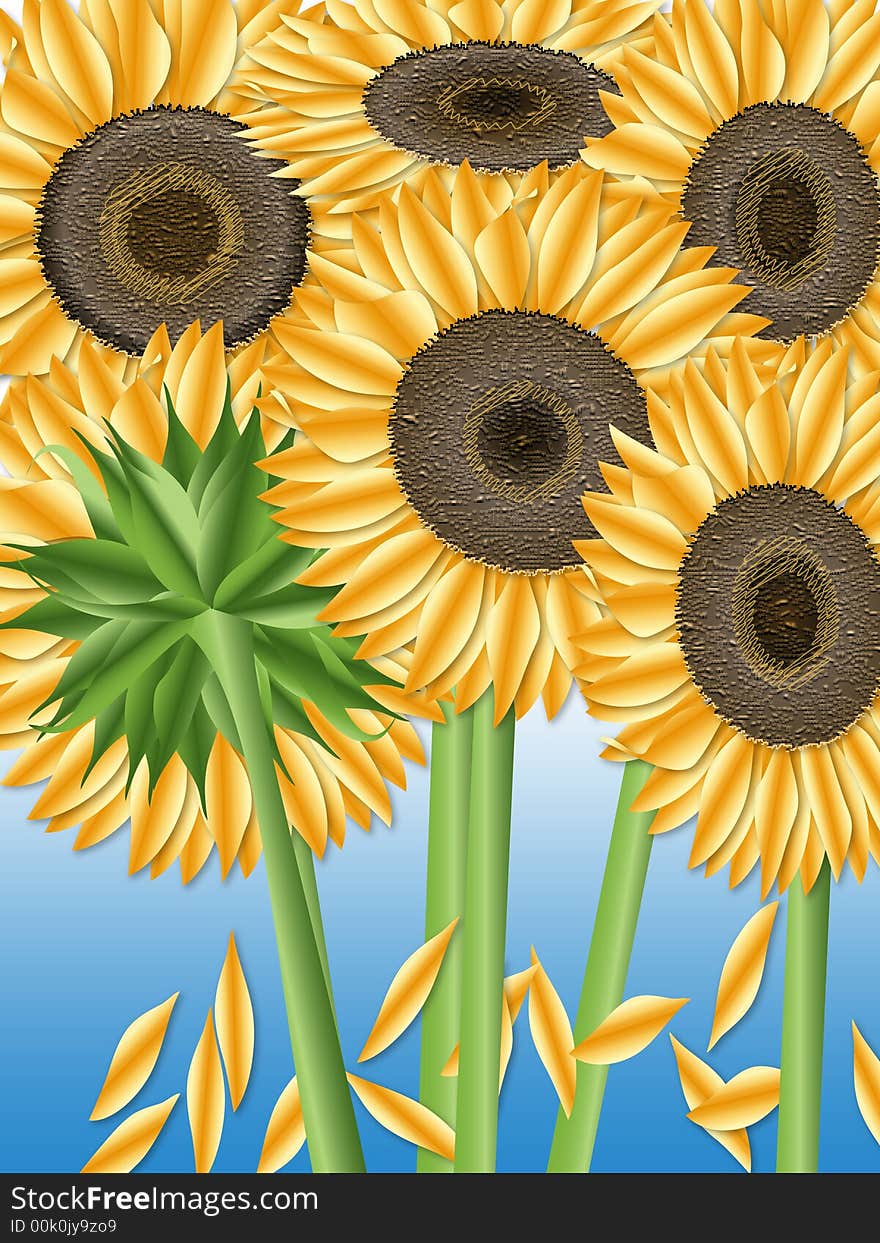 Sunflowers