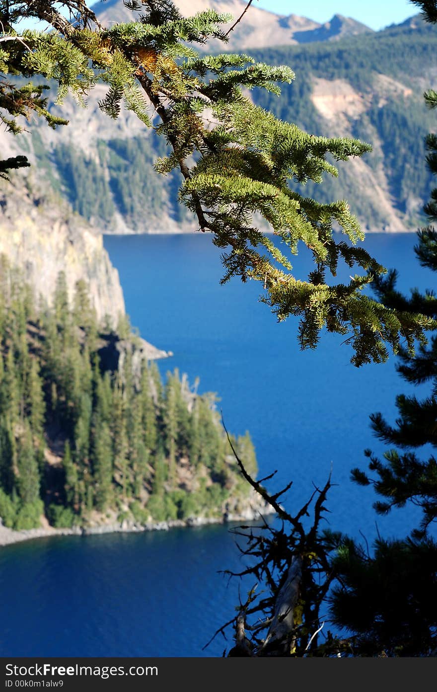 View of the Crater Lake through pine tree. View of the Crater Lake through pine tree