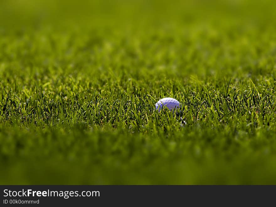 Golf ball lying in lush green grass on the fairway. Golf ball lying in lush green grass on the fairway