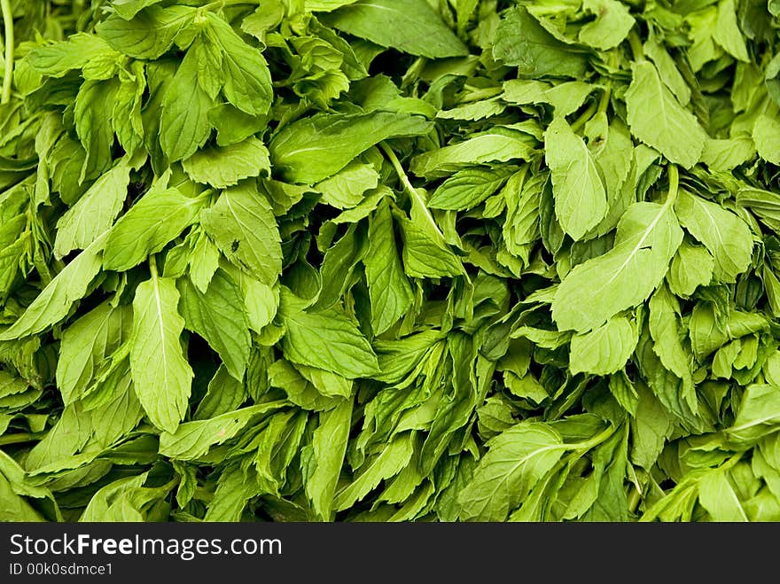 Mint Leaves