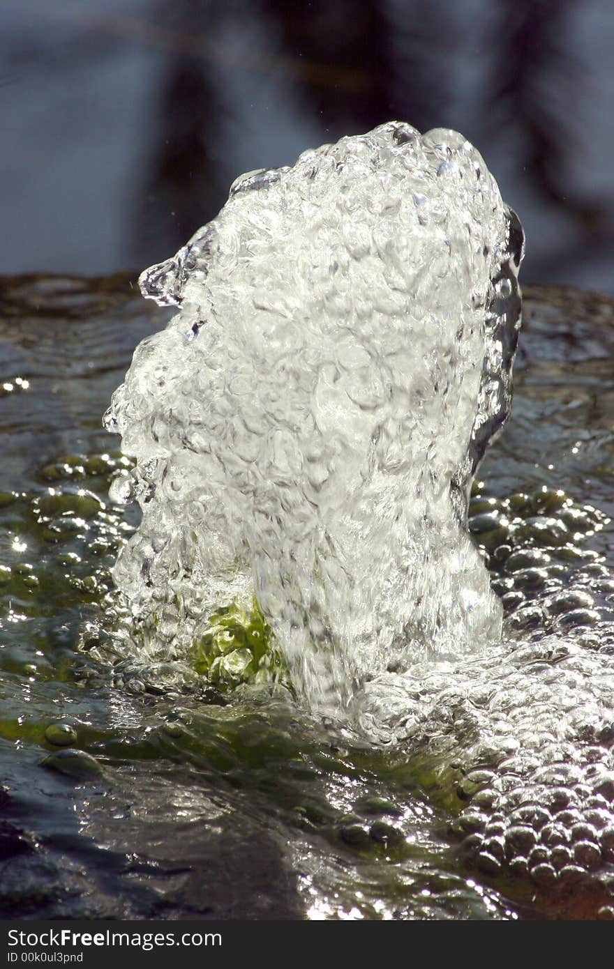 This is a fountain spring at the Churchville Nature Reserve in Pennsylvania. This is a fountain spring at the Churchville Nature Reserve in Pennsylvania.