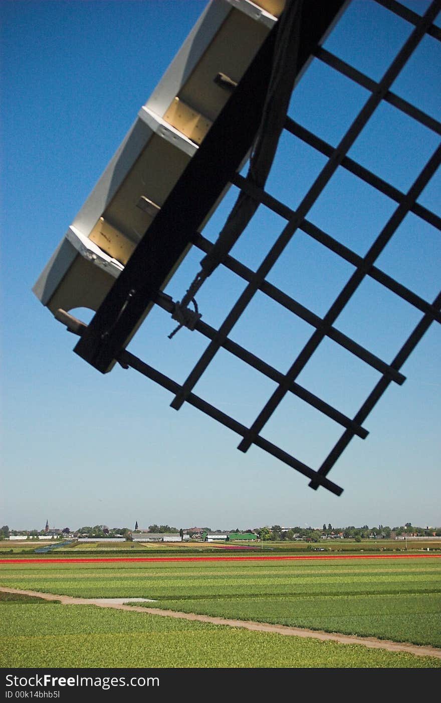 Windmill wing