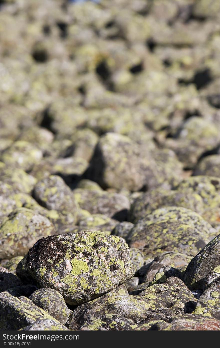 Raw rocky abstract background texture. Raw rocky abstract background texture