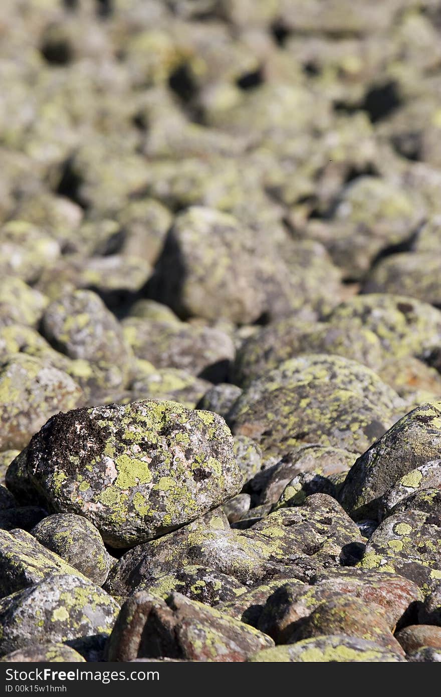 Raw rocky abstract background texture. Raw rocky abstract background texture