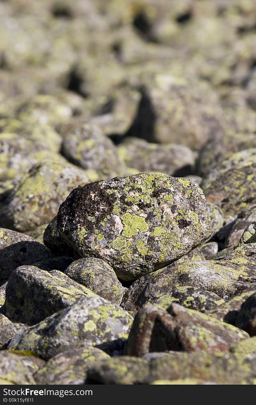 Raw rocky abstract background texture. Raw rocky abstract background texture