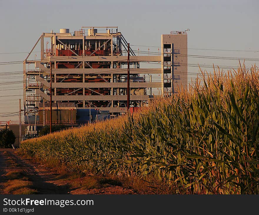 Power generating station rising up behind full grown corn - evening light. Power generating station rising up behind full grown corn - evening light