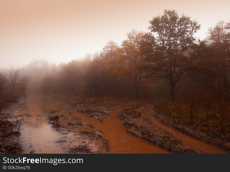 Rutted road in a forest. Rutted road in a forest