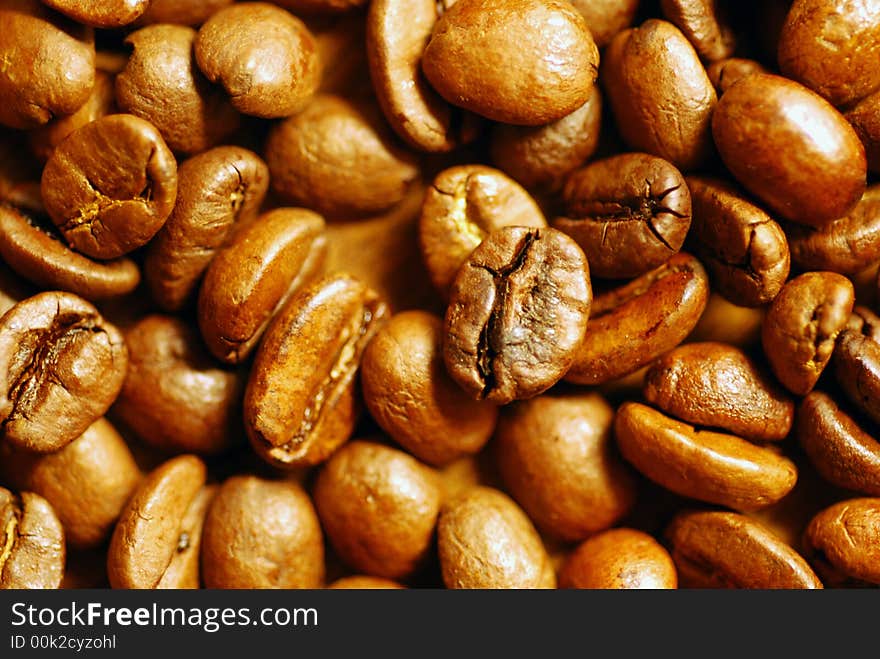 Closeup of delicious coffee grains