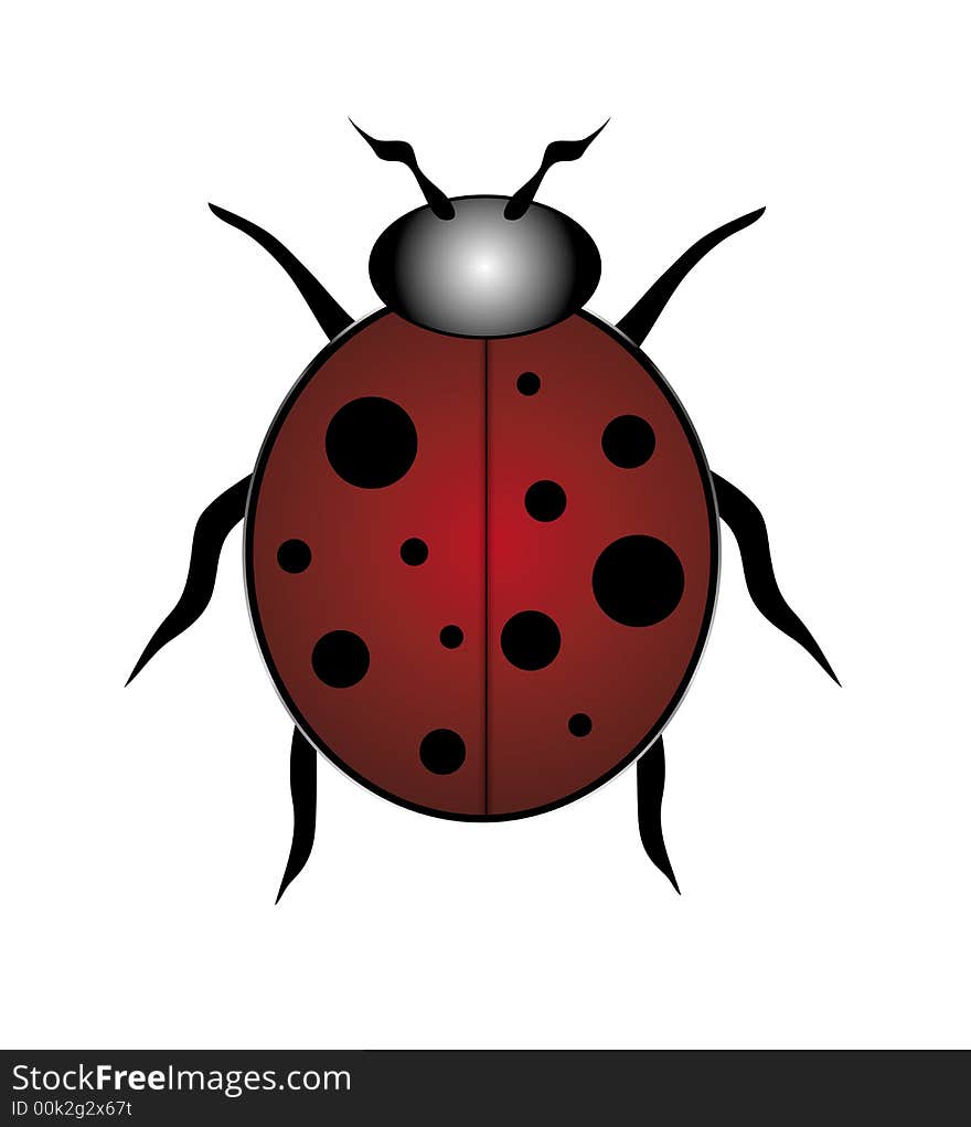 Illustration of single red and black spotted ladybug on white. Illustration of single red and black spotted ladybug on white