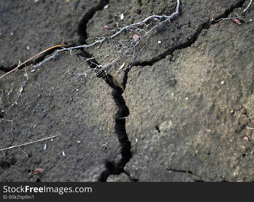 A large crack in the dirt. A large crack in the dirt