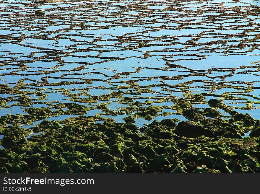 Natural detail soil in the low tide