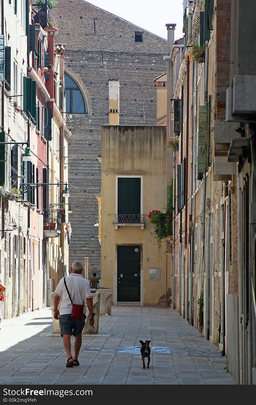 Dog Walking In Venice